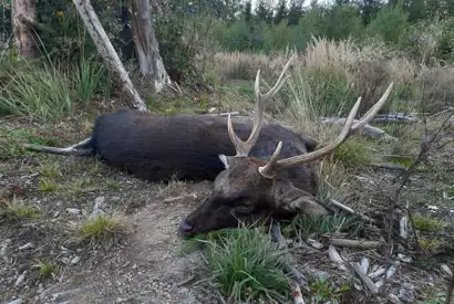 PHOTO 2023 06 27 13 03 15