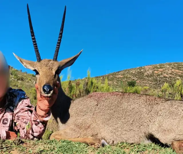 Kopi Af Hjemmeside Og PDF Format 169 (4) Min