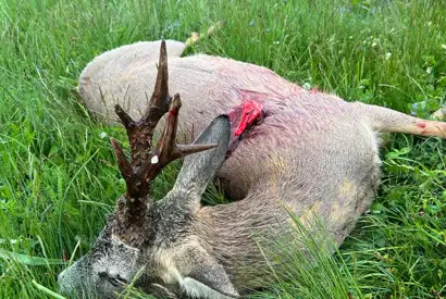 Whatsapp Image 2023 05 09 At 14.50.42