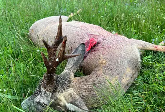 Whatsapp Image 2023 05 09 At 14.50.42