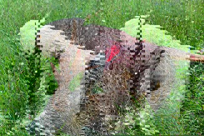 Whatsapp Image 2023 05 09 At 14.50.42