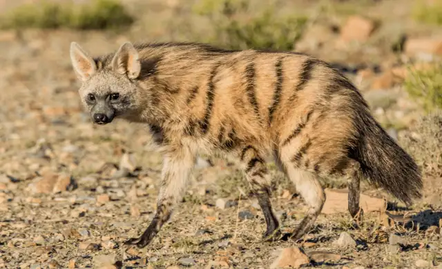 Kopi Af Hjemmeside Og PDF Format 169 Min (1)