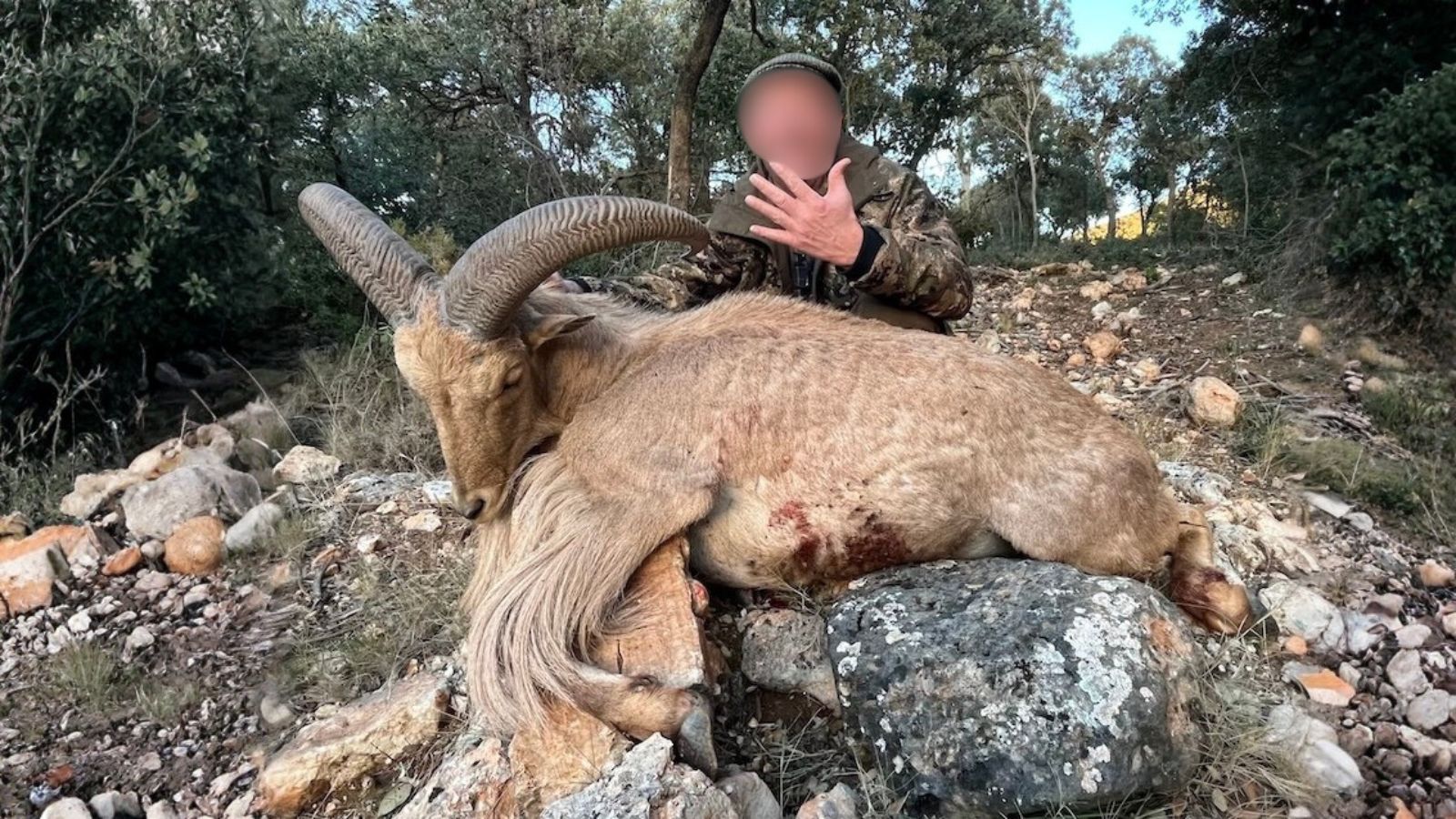 Kopi Af Hjemmeside Og PDF Format 169 (9)