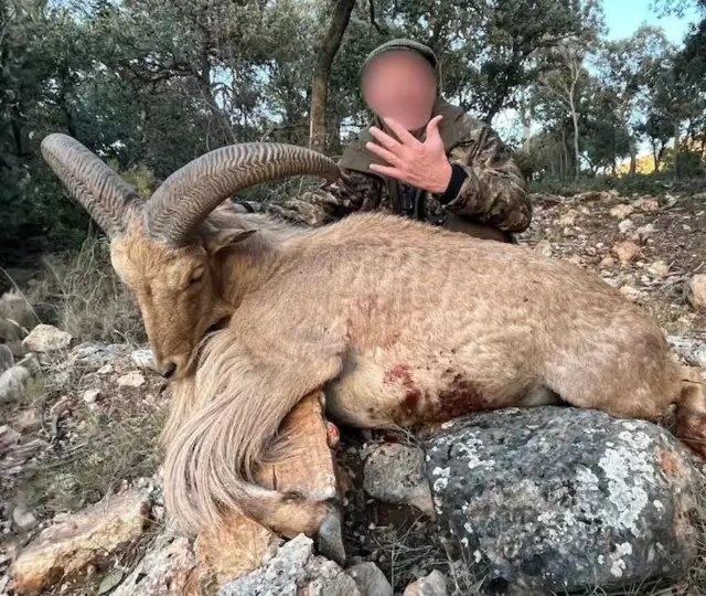 Kopi Af Hjemmeside Og PDF Format 169 (9)