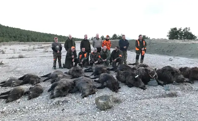 Skærmbillede 2024 09 25 134754