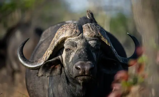 Second Set Print 231638700914171(1)