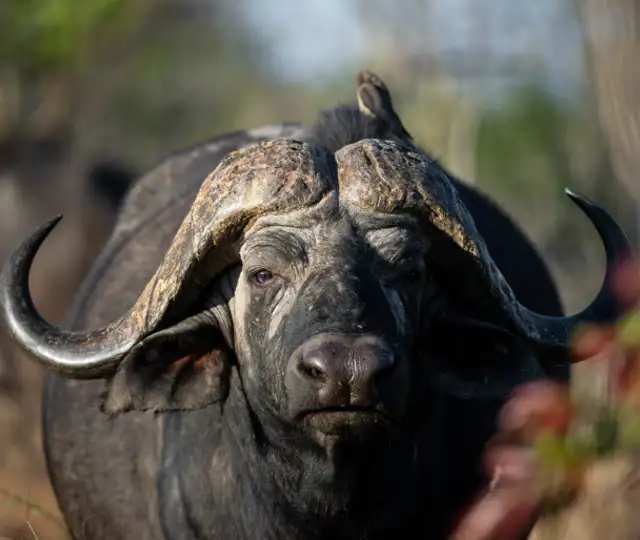 Second Set Print 231638700914171(1)