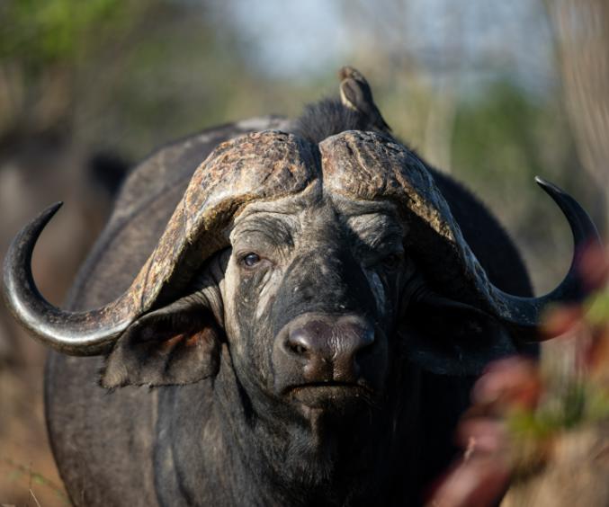 Second Set Print 231638700914171(1)