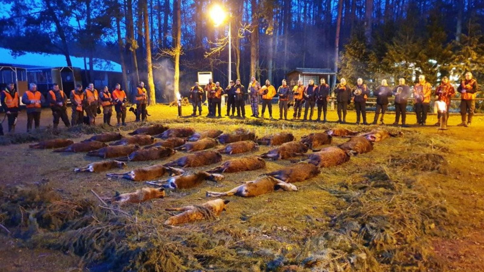 Kopi Af Hjemmeside Og PDF Format 169 (19)