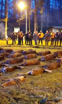 Kopi Af Hjemmeside Og PDF Format 169 (19)