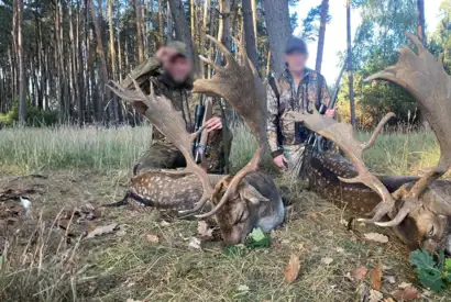 Skærmbillede 2023 12 01 080904