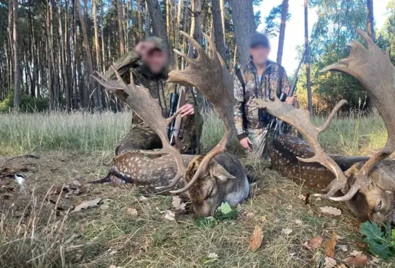 Skærmbillede 2023 12 01 080904