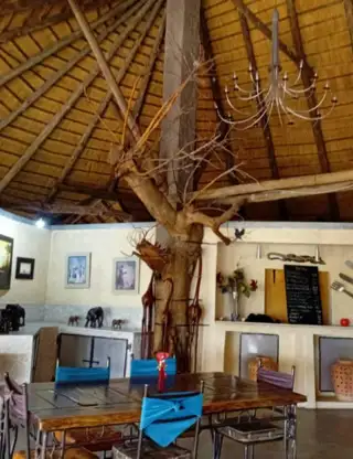 Whatsapp Image 2026 08 17 At 09.46.42 (2)