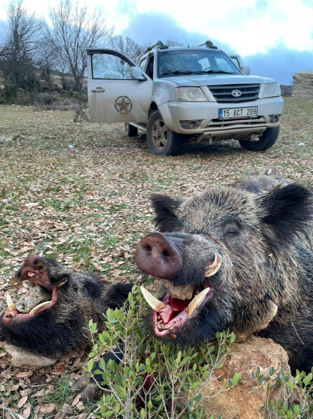 Skærmbillede 2024 09 25 135223 (1)