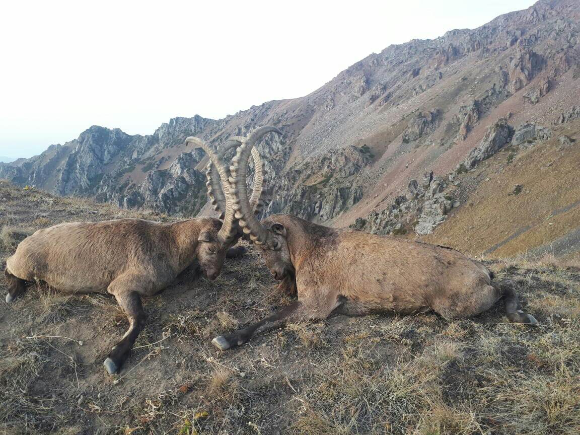 320215633 472175754852804 6971767391063952478 N