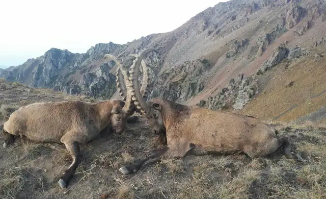 320215633 472175754852804 6971767391063952478 N