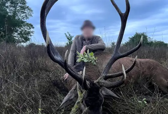 Skærmbillede 2023 12 04 154708