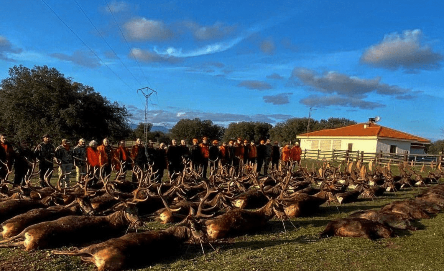 Skærmbillede 2022 07 19 Kl. 11.20.33