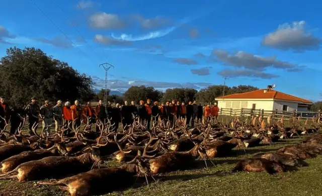 Skærmbillede 2022 07 19 Kl. 11.20.33