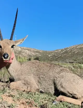 Kopi Af Hjemmeside Og PDF Format 169 (5) Min