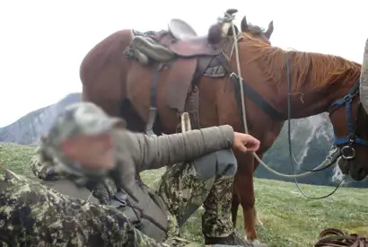 Skærmbillede 2023 10 30 174925 (1)