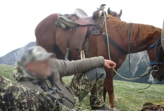 Skærmbillede 2023 10 30 174925 (1)