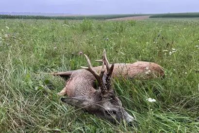 Whatsapp Image 2025 07 28 At 15.33.03 (3)