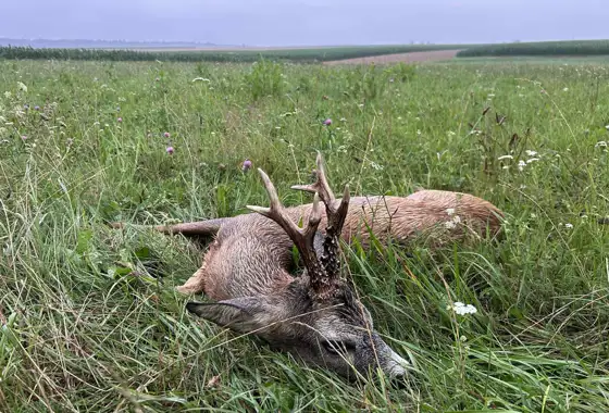 Whatsapp Image 2025 07 28 At 15.33.03 (3)