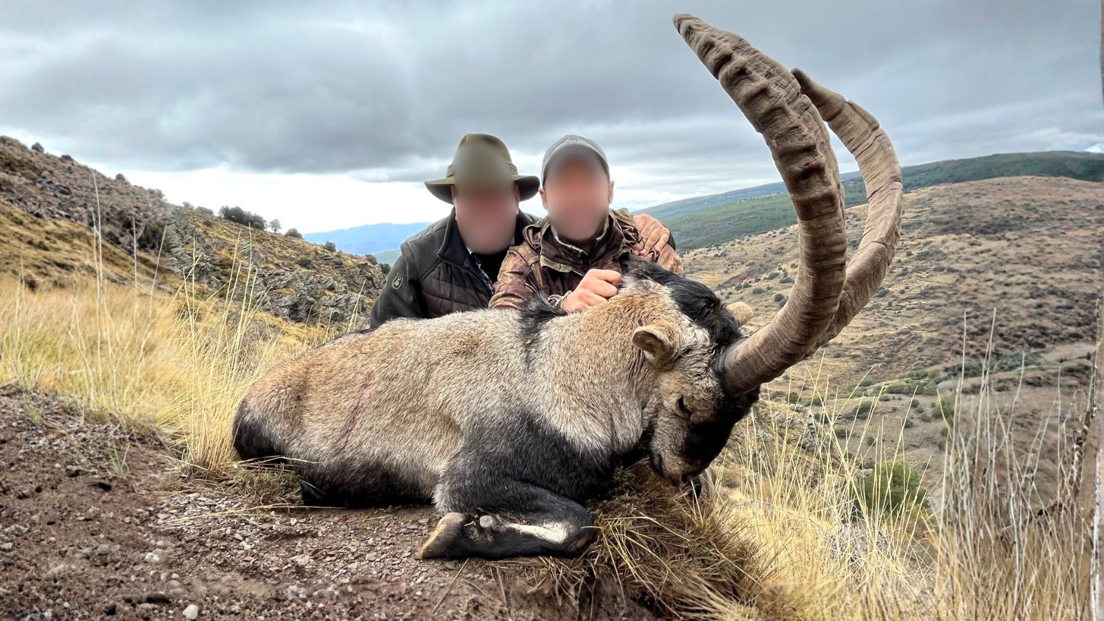 Kopi Af Hjemmeside Og PDF Format 169 2025 12 12T102005.484