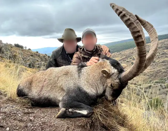 Kopi Af Hjemmeside Og PDF Format 169 2025 12 12T102005.484