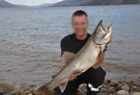 Skærmbillede 2023 11 20 145438