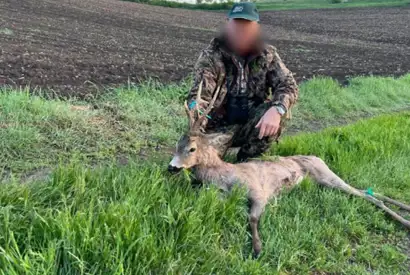 Skærmbillede 2023 05 10 091828