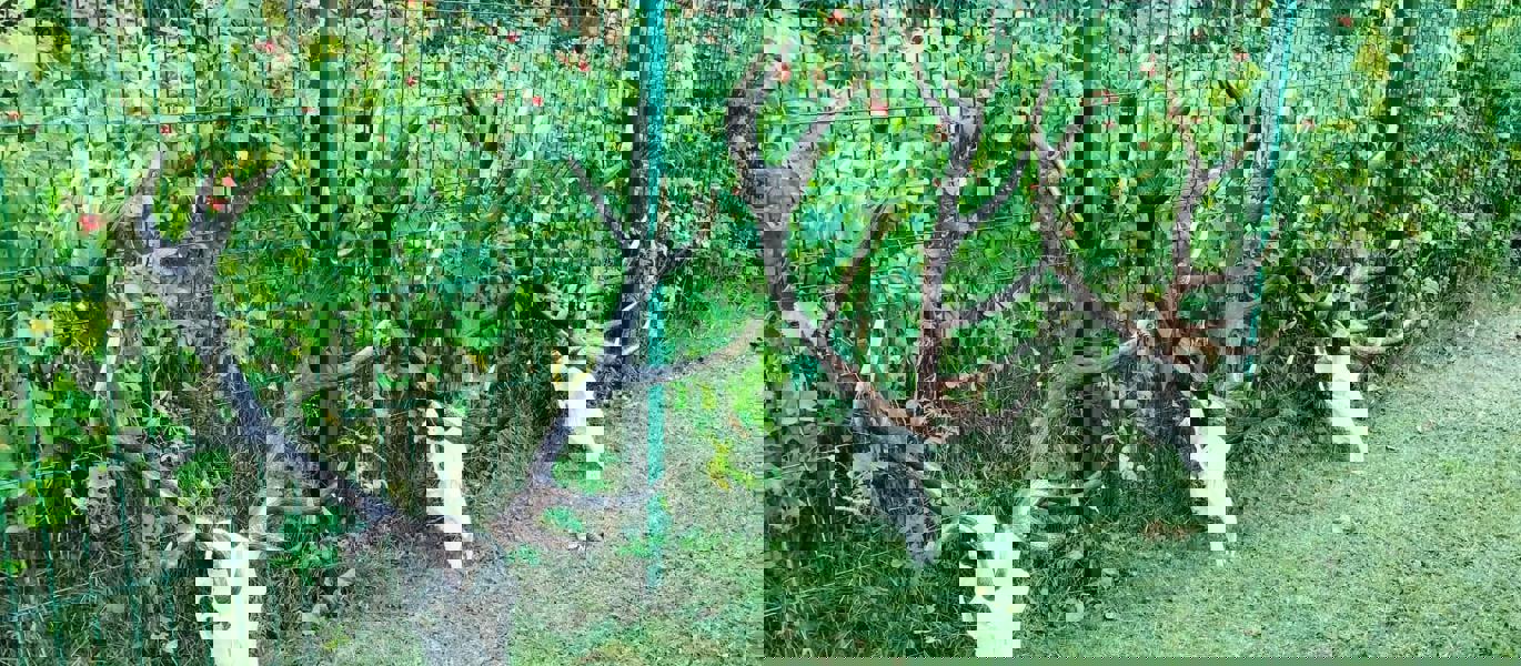Ba7b083d F066 496C B66b 5E662c0152fa