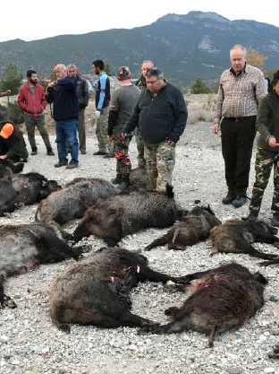 Skærmbillede 2024 09 25 133249