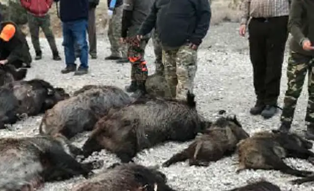 Skærmbillede 2024 09 25 133249