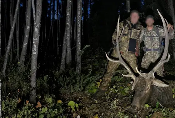 Skærmbillede 2023 10 30 180102