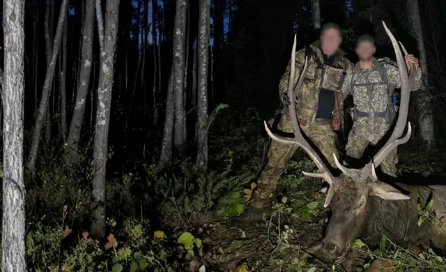 Skærmbillede 2023 10 30 180102