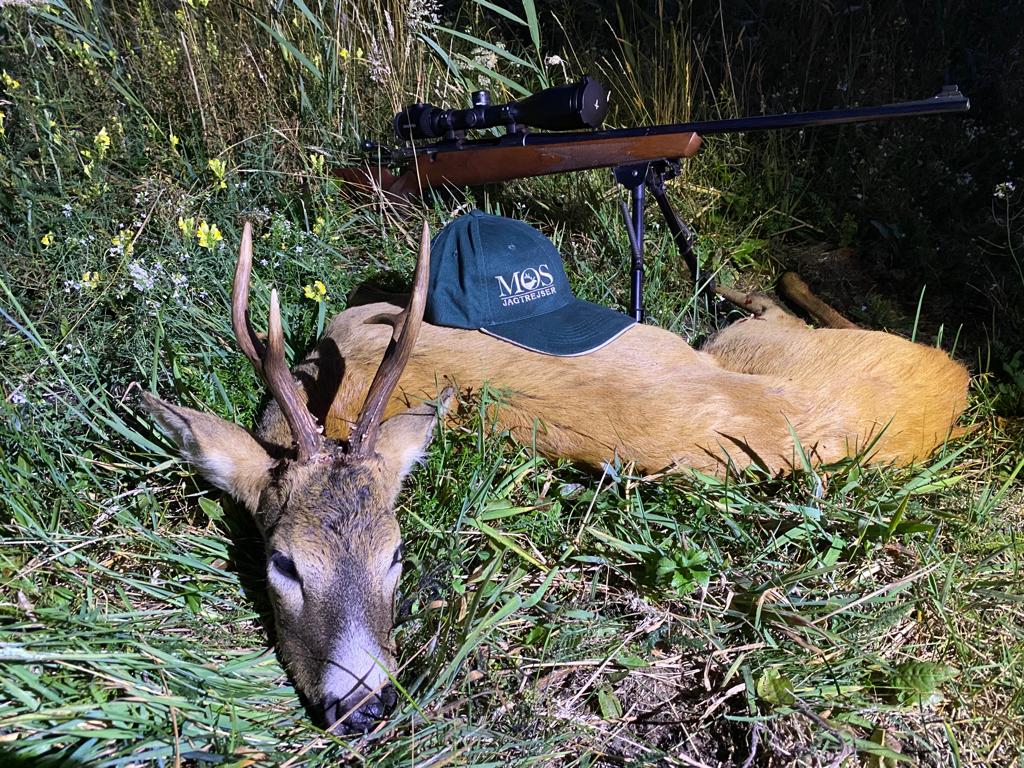 Whatsapp Image 2022 08 13 At 20.23.25 (4)