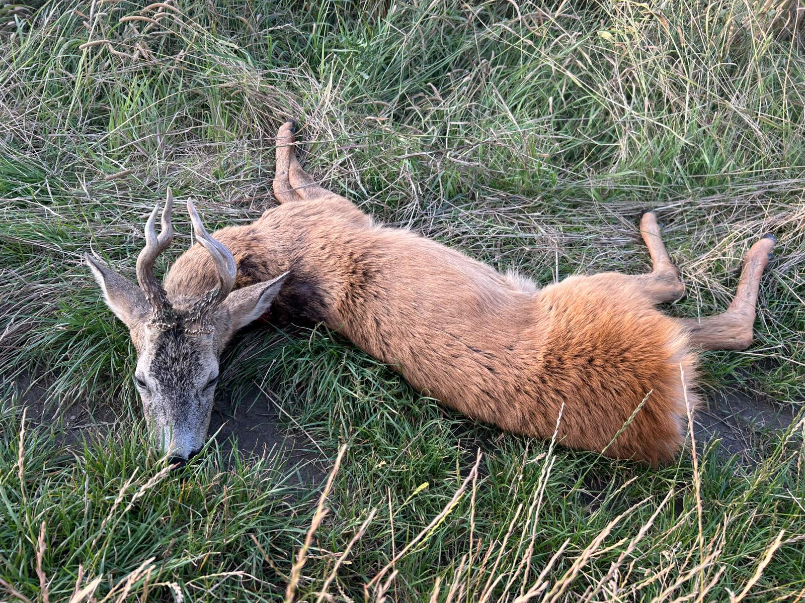 Whatsapp Image 2025 07 30 At 05.49.06 (1)