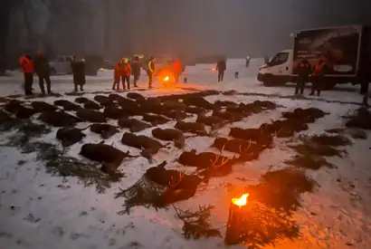 Whatsapp Image 2025 06 10 At 08.46.35 (5)