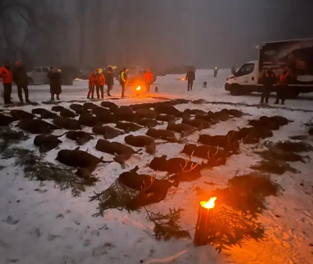 Whatsapp Image 2025 06 10 At 08.46.35 (5)