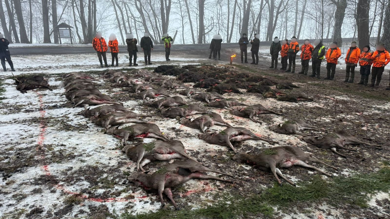 Kopi Af Hjemmeside Og PDF Format 169 (20)