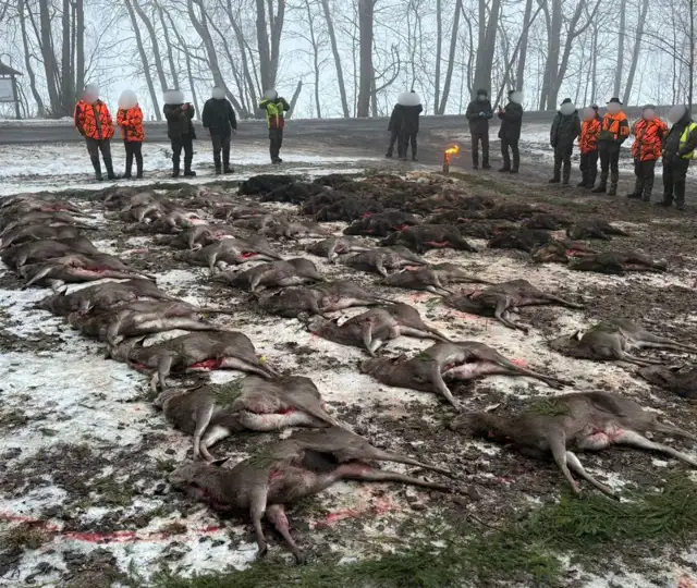 Kopi Af Hjemmeside Og PDF Format 169 (20)