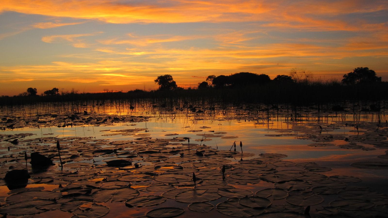 Kopi Af Hjemmeside Og PDF Format 169 (2) (1)