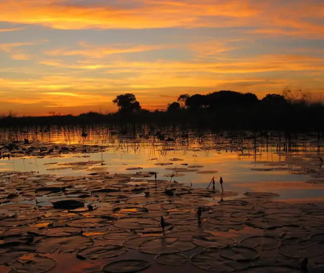 Kopi Af Hjemmeside Og PDF Format 169 (2) (1)