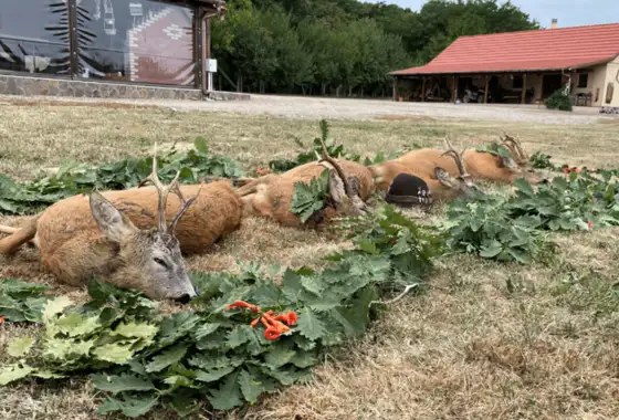 5A57F76D 9C06 4F7F A52D 2705619B444D