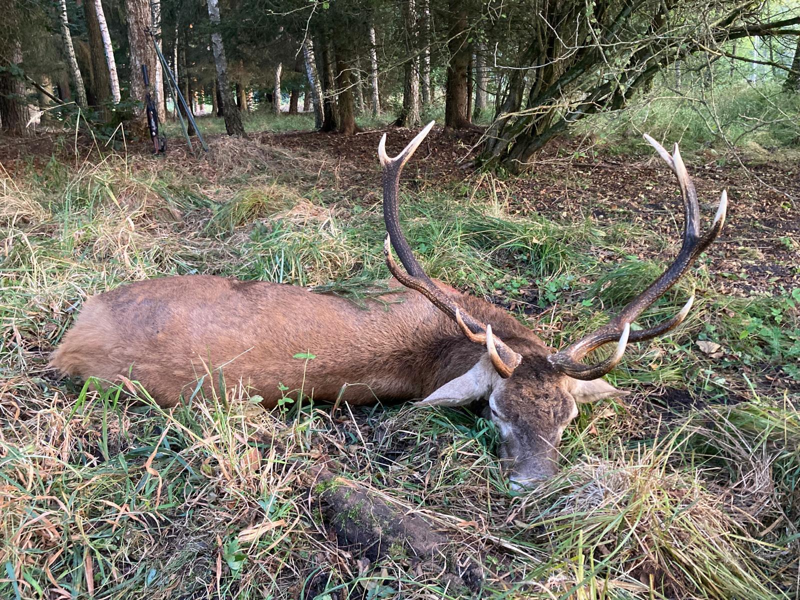 6D9c8917 6C1d 48Ea 97D8 86507Fe1a80a