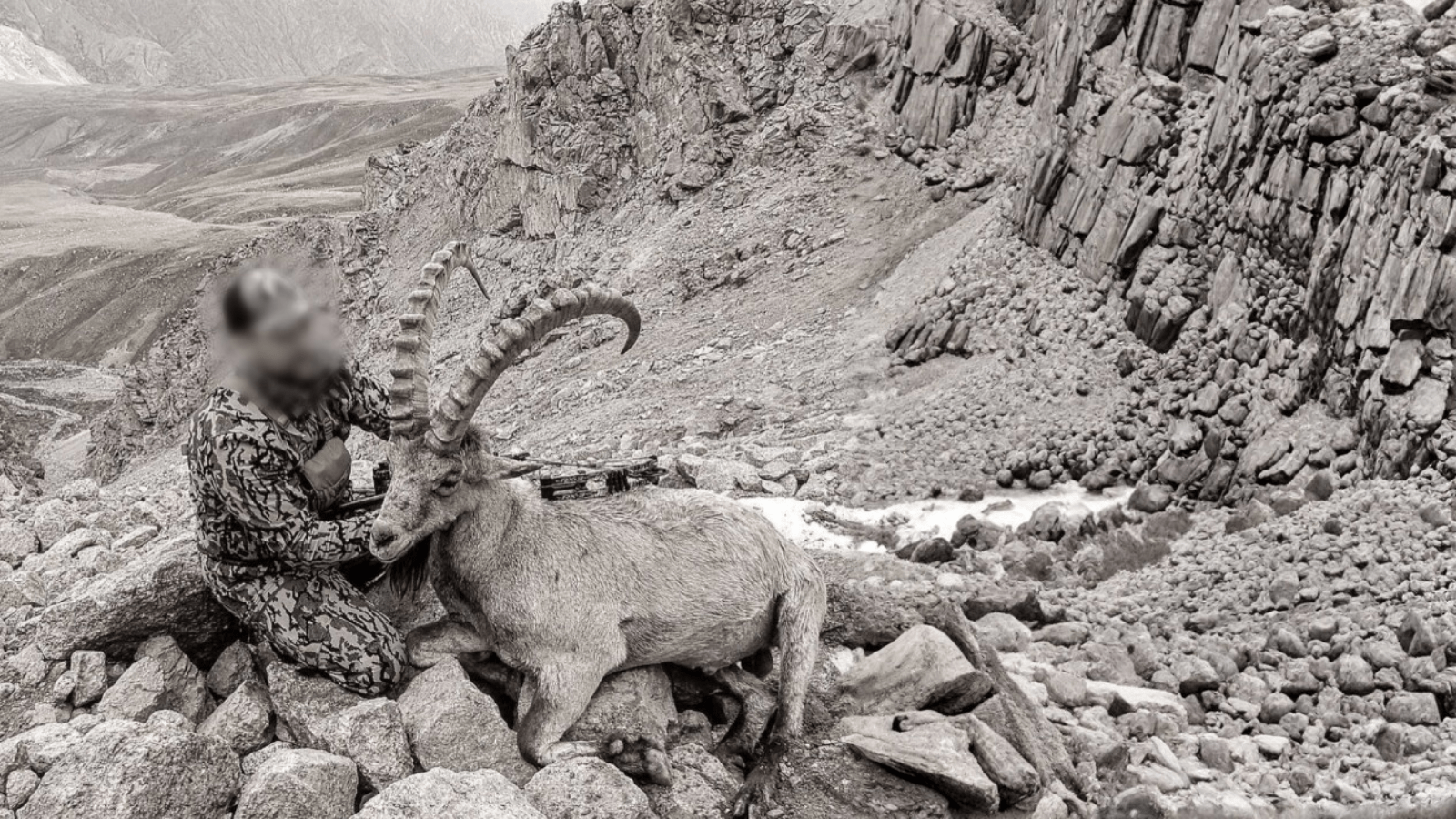 Hjemmeside Og PDF Format 169 (3) Min