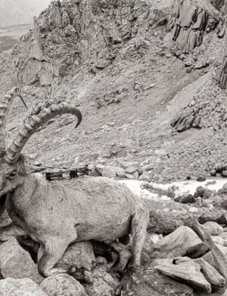 Hjemmeside Og PDF Format 169 (3) Min