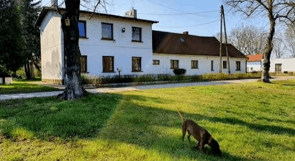 Skærmbillede 2026 02 16 103113